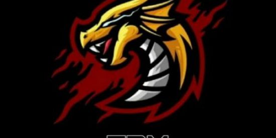 Imagem do grupo de WhatsApp TRM E-SPORTS/ DIVULGAÇÕES 📊