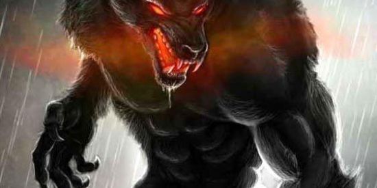 Imagem do grupo de WhatsApp Os 4 Reinos Recepção