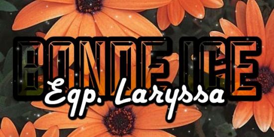 Imagem do grupo de WhatsApp Bonde fénix