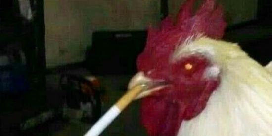 Imagem do grupo de WhatsApp AcreBemPáscoa