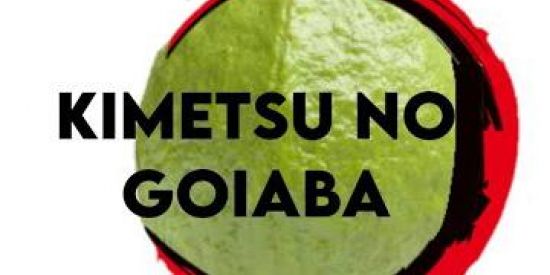 Imagem do grupo de WhatsApp Kimetsu no goiaba 2