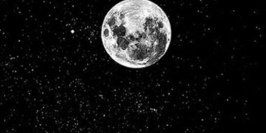 Imagem do grupo de WhatsApp 🦋Recrutamento ✧Rɠ'ร✧🦋