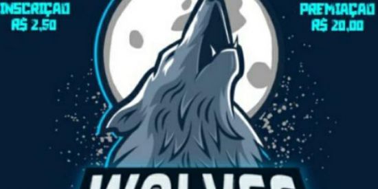 Imagem do grupo de WhatsApp ⚠️ diário WOLVES⚠️