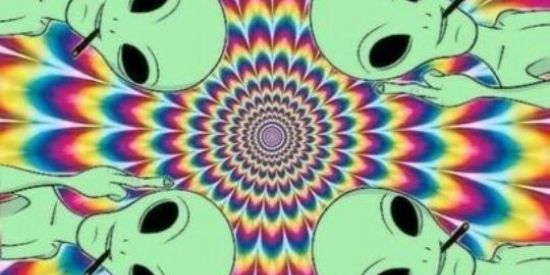 Imagem do grupo de WhatsApp Figurinha 24 horas