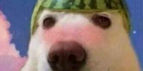 Imagem do grupo de WhatsApp 7° ano