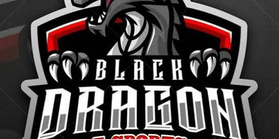 Imagem do grupo de WhatsApp BD E-SPORTS