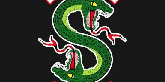 Imagem do grupo de WhatsApp Os Serpentes (N.U)