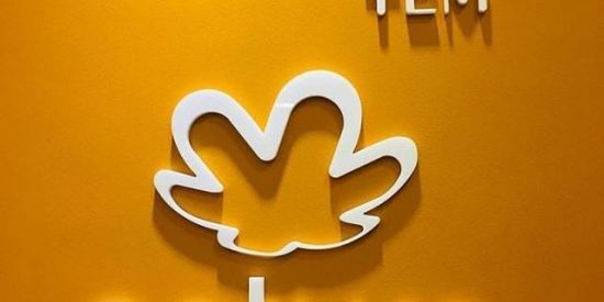 Imagem do grupo de WhatsApp Promoções Natura