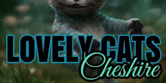 Imagem do grupo de WhatsApp Recrutamento 🎩ςнєѕнιяє🎩