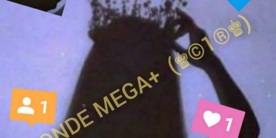 Imagem do grupo de WhatsApp BONDE MEGA+  (♚©1®♚)