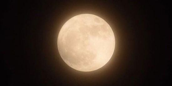 Imagem do grupo de WhatsApp 🦋ʀᴇᴄʀᴜᴛᴀᴍᴇɴᴛᴏ ✧Rɠ'ร✧🦋