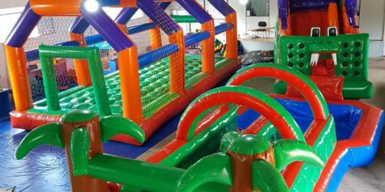 Imagem do grupo de WhatsApp Brinquedos infláveis