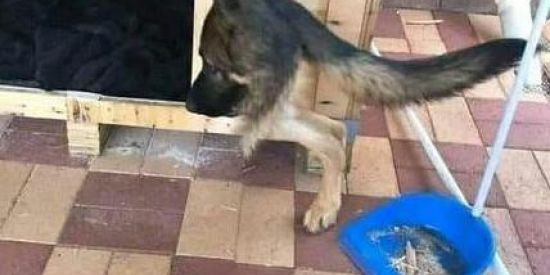 Imagem do grupo de WhatsApp Shitposter's Aposentados 🦧