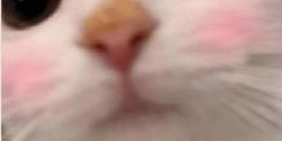 Imagem do grupo de WhatsApp 🔥 ғɪɢᴜʀɪɴʜᴀs 🔥