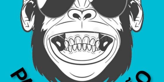 Imagem do grupo de WhatsApp MURICI PACATO 🐵