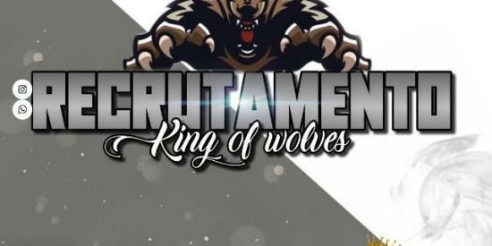 Imagem do grupo de WhatsApp GANHE SEGUIDORES 🐺