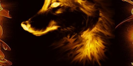 Imagem do grupo de WhatsApp ONE , TWO COMMAND☘️🙅🏻‍♂️✨