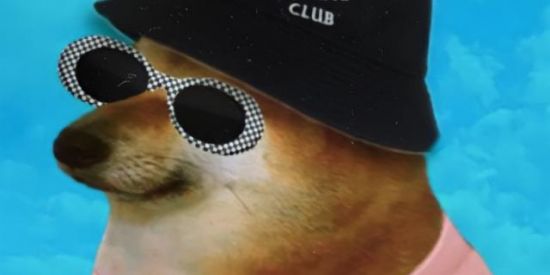 Imagem do grupo de WhatsApp Memelandia