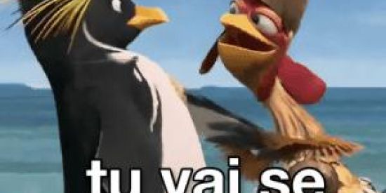 Imagem do grupo de WhatsApp Troca de seguidores