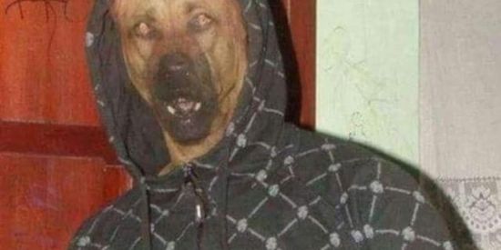 Imagem do grupo de WhatsApp 🤪👌RAVE NA FAVELA🥴🕺🏻