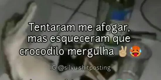 Imagem do grupo de WhatsApp _SHITS CROCODILOS_ 🐊😎