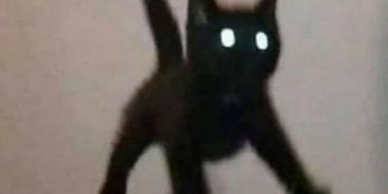 Imagem do grupo de WhatsApp VIEWS NO STATUS🧃