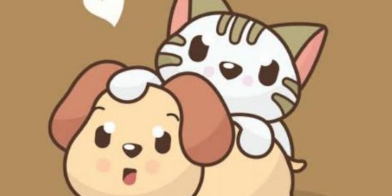 Imagem do grupo de WhatsApp ♡ツNovas Amizades (ᴖᴥᴖ)♥️