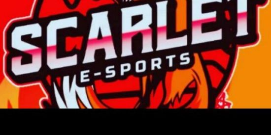 Imagem do grupo de WhatsApp SCARLET  E-SPORTS🏴‍☠️🏴