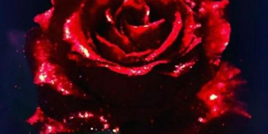 Imagem do grupo de WhatsApp ꧁figurinha amizade☬frase꧂