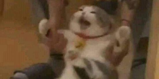 Imagem do grupo de WhatsApp Namoro geek RJ