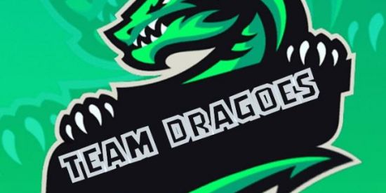 Imagem do grupo de WhatsApp Recrutamento dragões