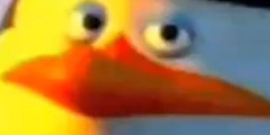 Imagem do grupo de WhatsApp shitpost do pinguim