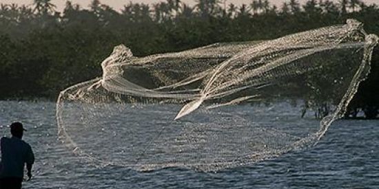 Imagem do grupo de WhatsApp GRUPO PESCADOR BRASIL•🇧🇷