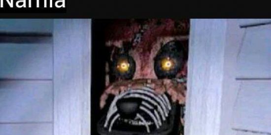 Imagem do grupo de WhatsApp O Foxy ainda n saiu do armário KKKK