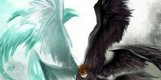 Imagem do grupo de WhatsApp Purgatório (Recrutamento)