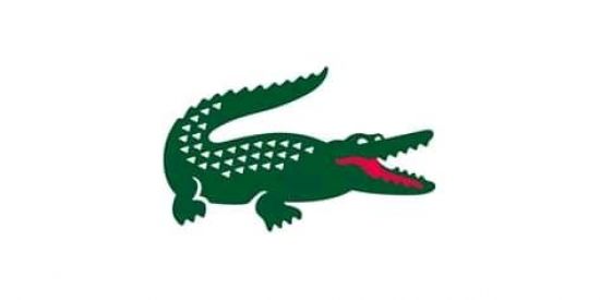 Imagem do grupo de WhatsApp TRØPA D∆ LACØSTE 🐊🥋🔥