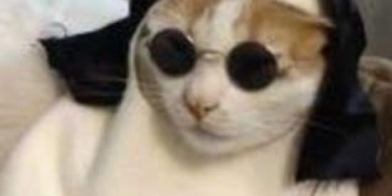 Imagem do grupo de WhatsApp Não se apaixone ❤👺