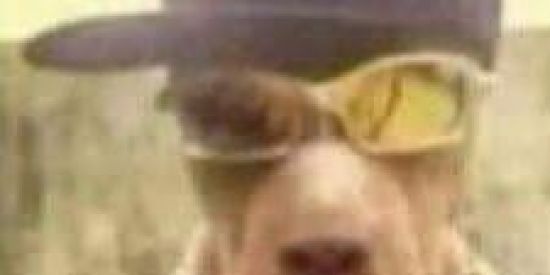 Imagem do grupo de WhatsApp sʜɪᴛ ɴᴏᴛᴇ