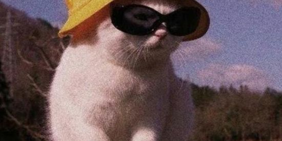 Imagem do grupo de WhatsApp bate papo 24hr✌🏻