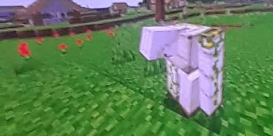 Imagem do grupo de WhatsApp Askov com nutella✌️🐦