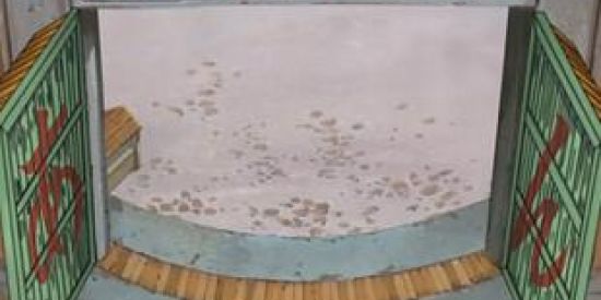 Imagem do grupo de WhatsApp 🏮•°•°Recepção Konoha°•°•🏮