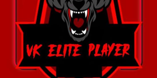 Imagem do grupo de WhatsApp VK  ELIT PLAYER