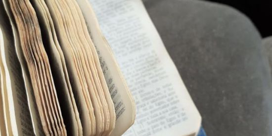 Imagem do grupo de WhatsApp ☘️Bruxos Ecléticos☘️