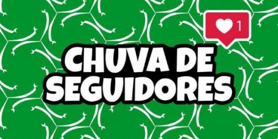 Imagem do grupo de WhatsApp 🌟INSTAGRAM SDV🌟