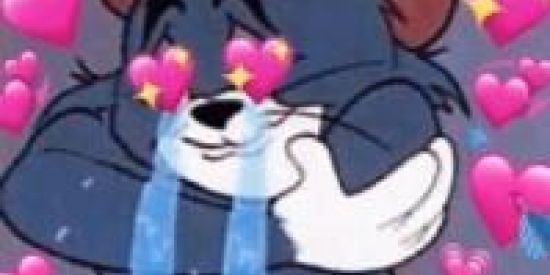 Imagem do grupo de WhatsApp Amiguinhos da vida