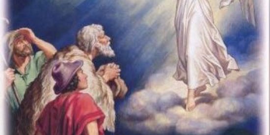 Imagem do grupo de WhatsApp AMIZADE CRENTE✝️🙏🏻