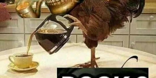 Imagem do grupo de WhatsApp Vasco da Gama Arts ⛵⚽