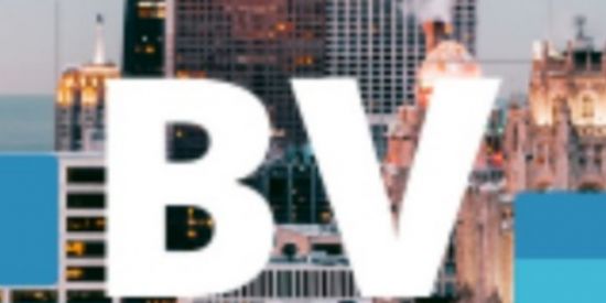 Imagem do grupo de WhatsApp Prestadora D Serviço BH 5