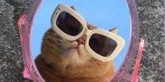 Imagem do grupo de WhatsApp 👻 Reis da favela 👻