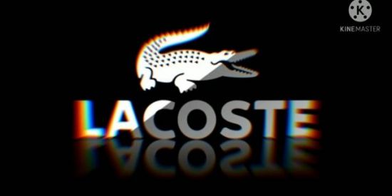 Imagem do grupo de WhatsApp XTREINO DA LINE LACOSTE